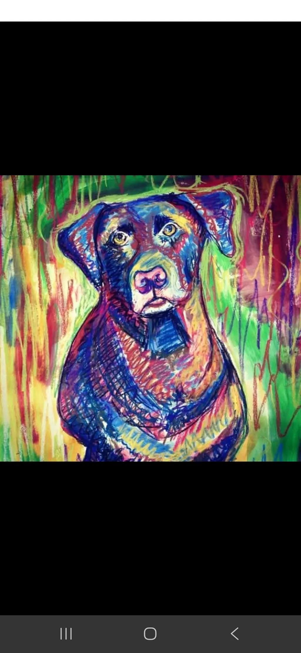 Colorful Canine