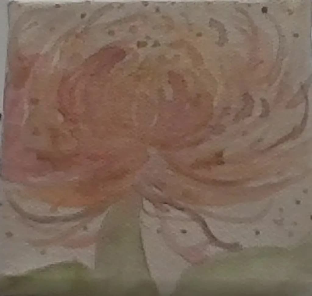 Blush Bloom