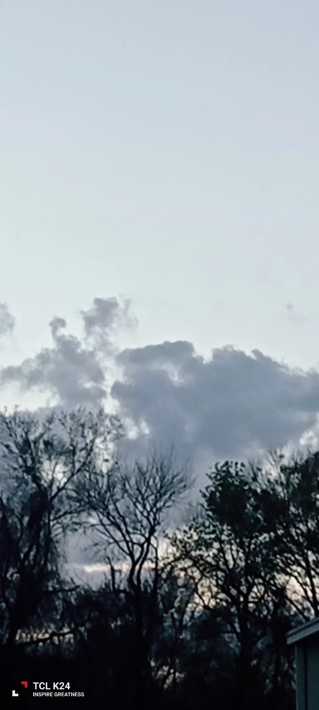 Twilight Silhouettes