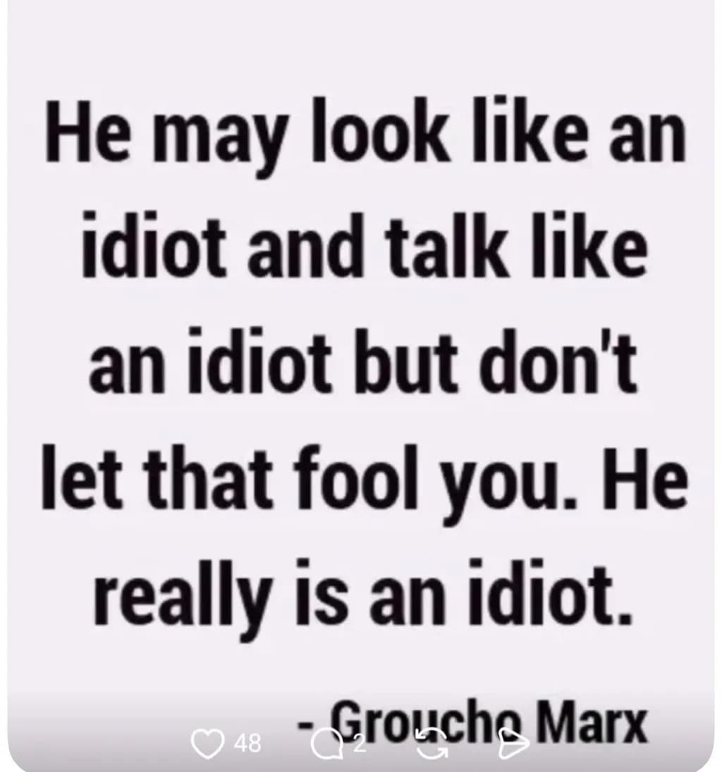Idiot Logic