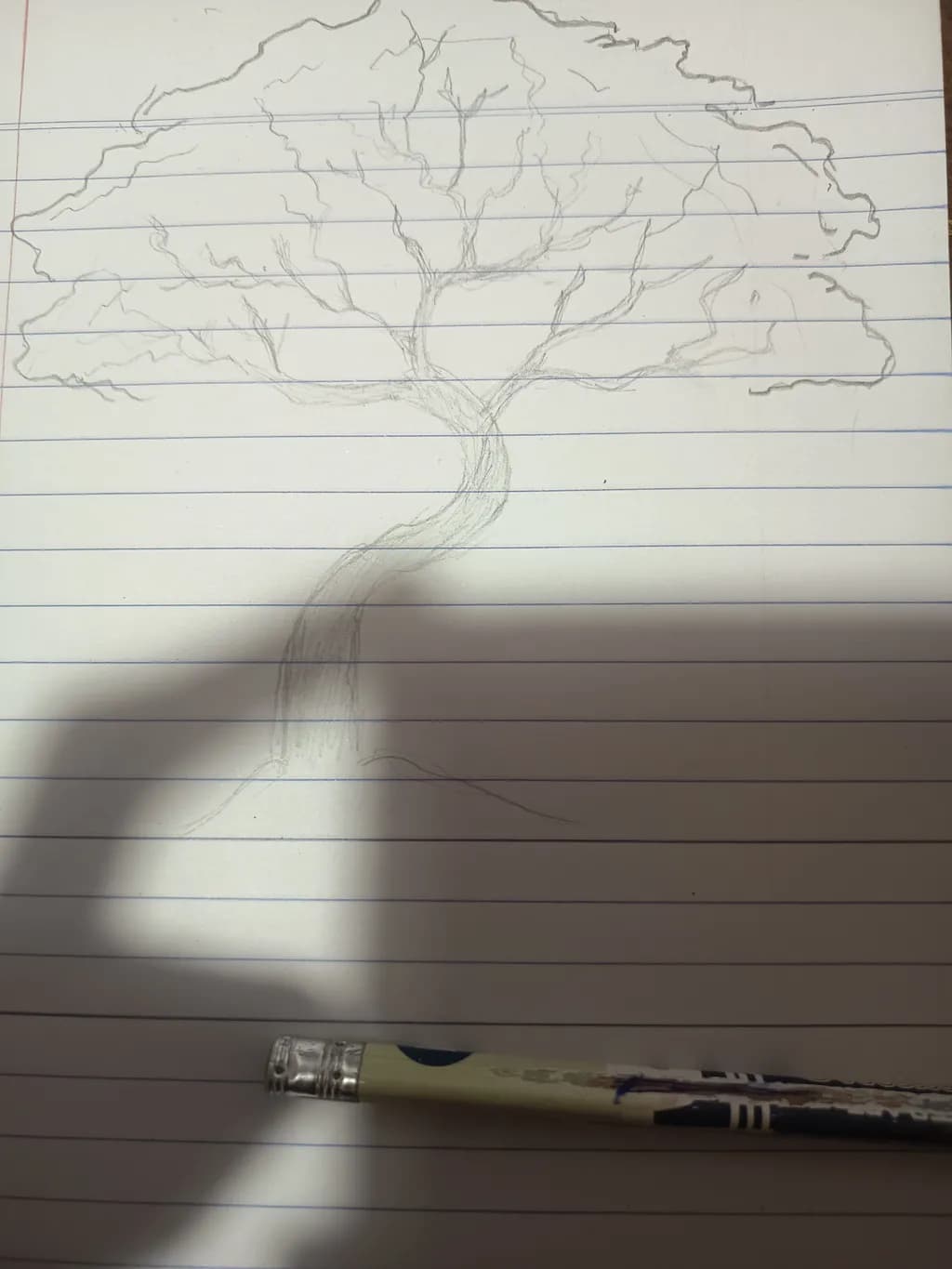 Curved Canopy
