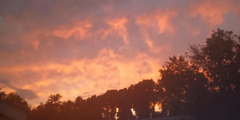 Dusk Flames