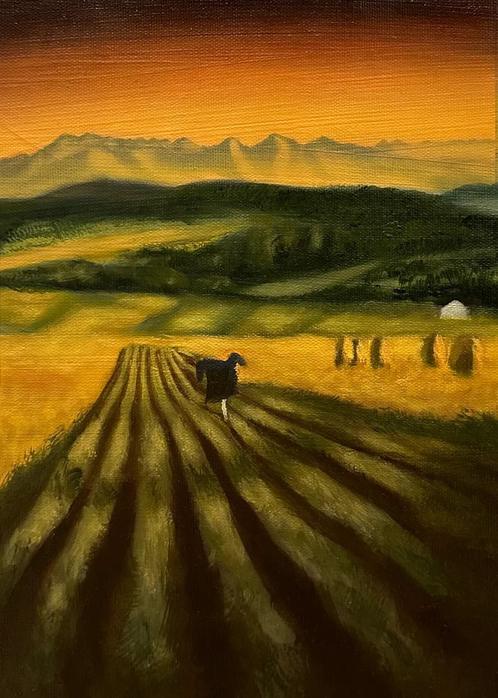 Harvest Shadows