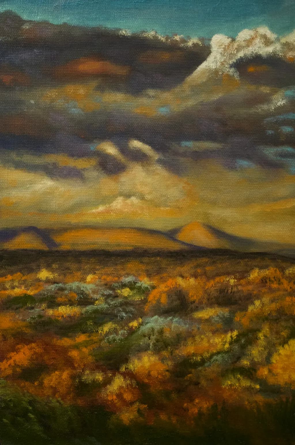 Twilight Terrain