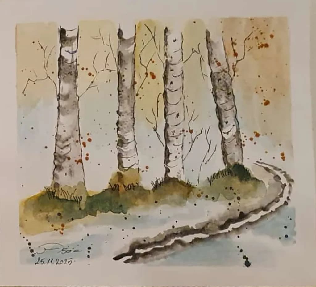 Birch Trail