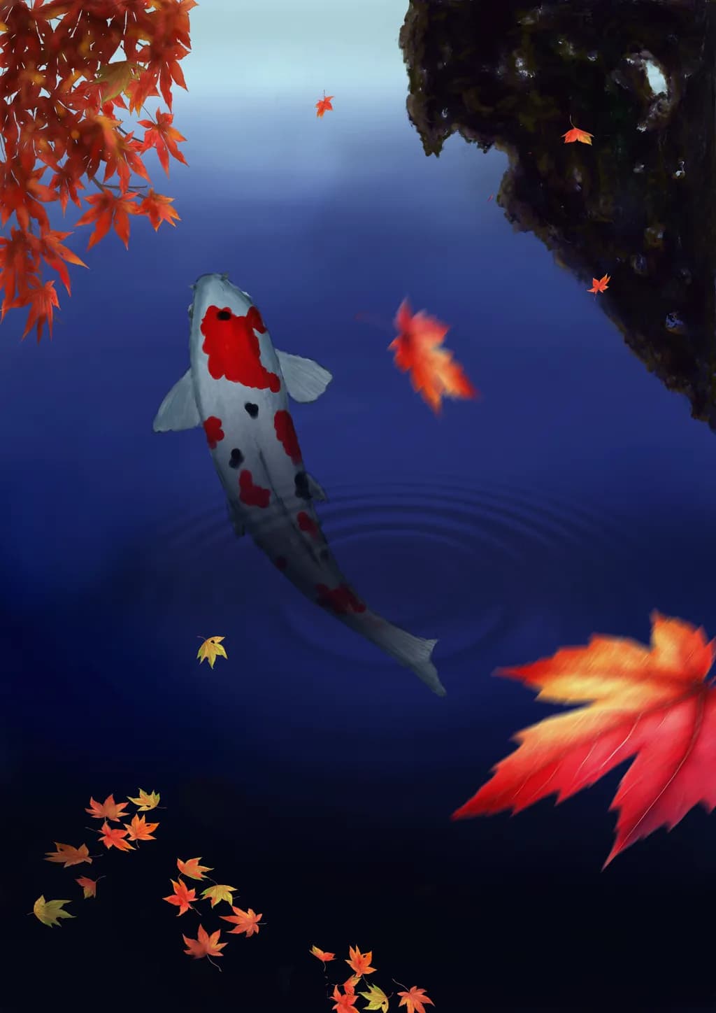 Nishiki Koi