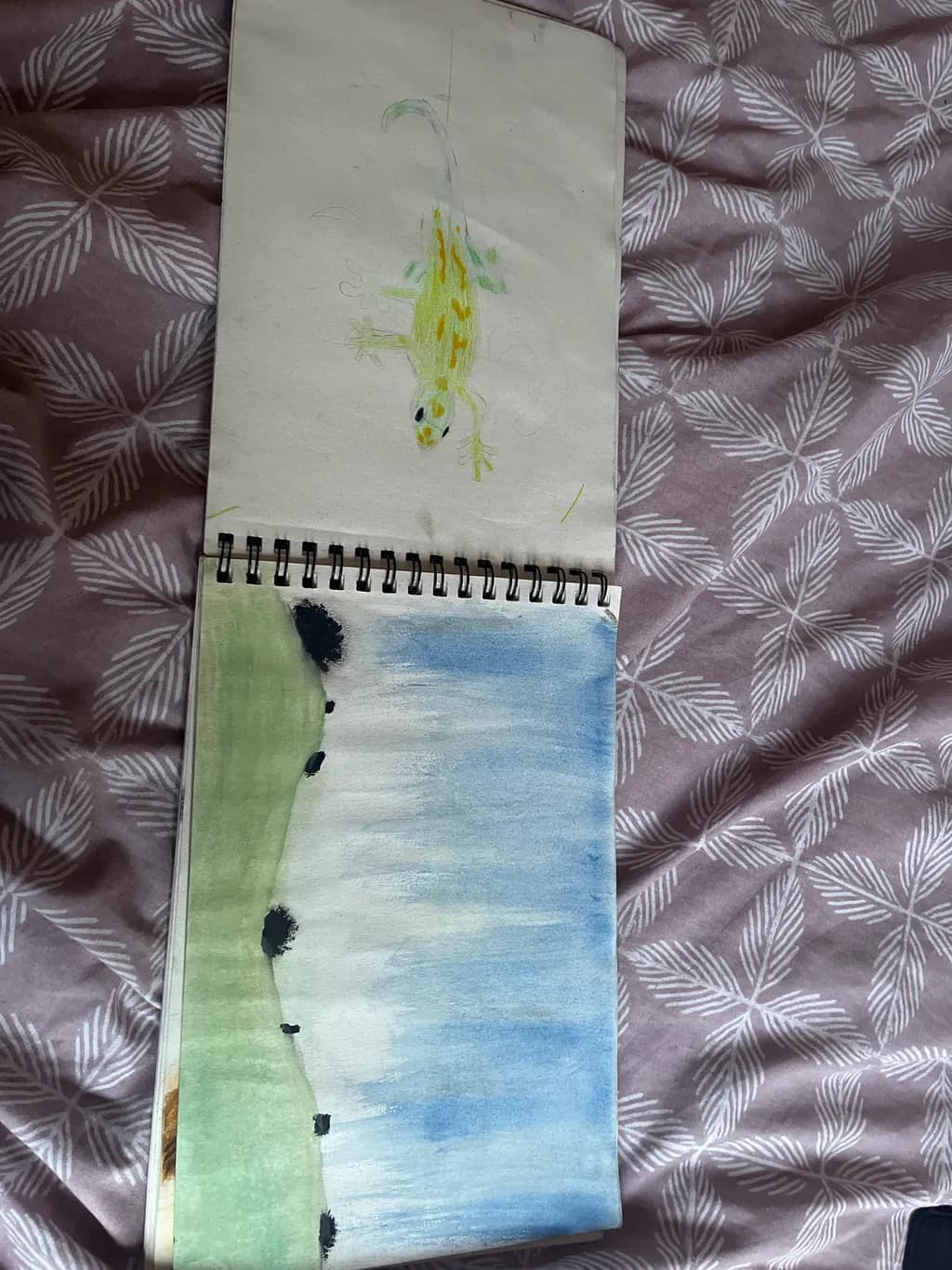Lizard and Landscape