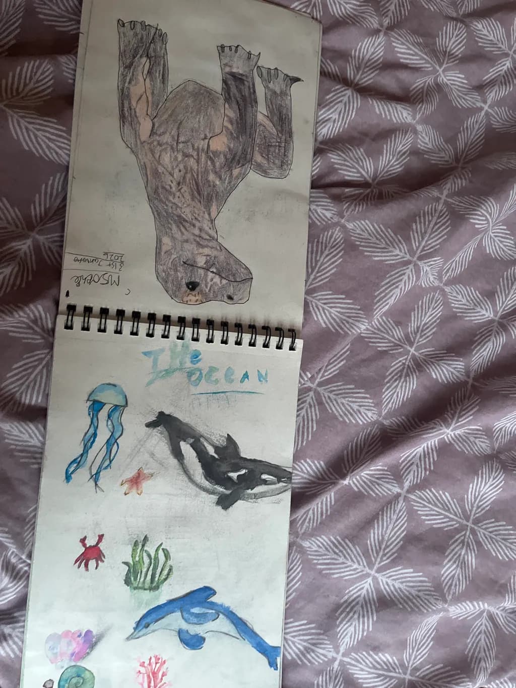Ocean Life Sketchbook