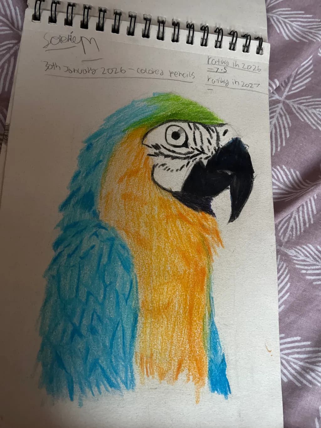 Colorful Macaw Portrait