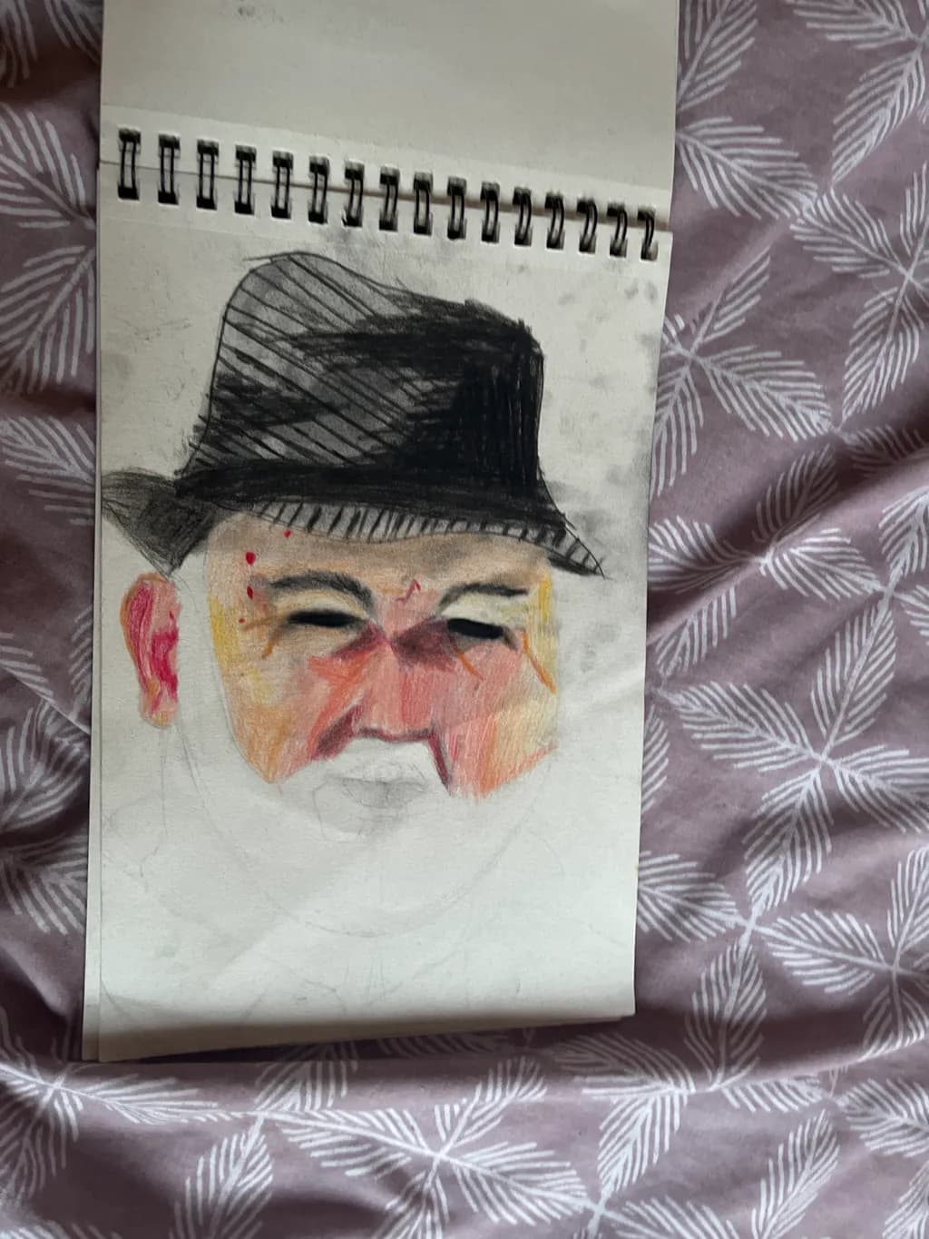 Shadowed Fedora Portrait