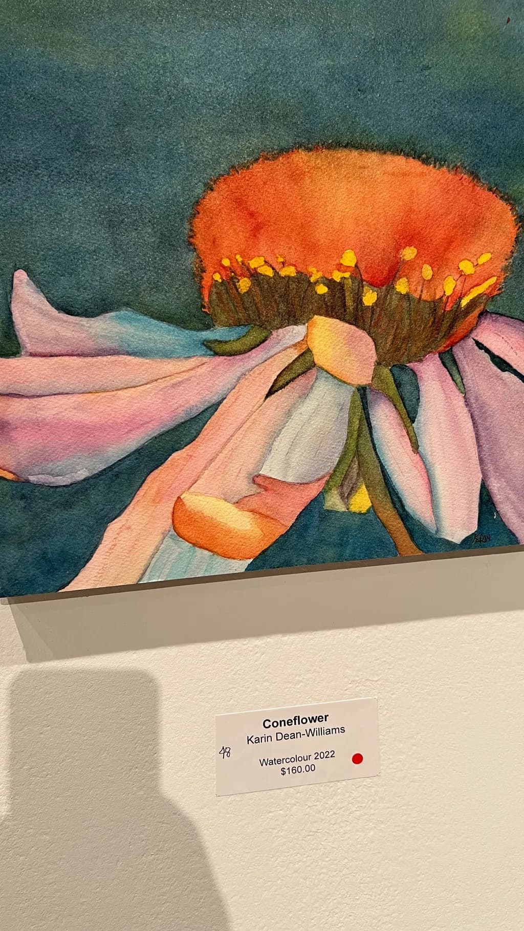 Coneflower