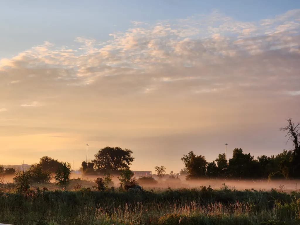Morning Mist Landscape