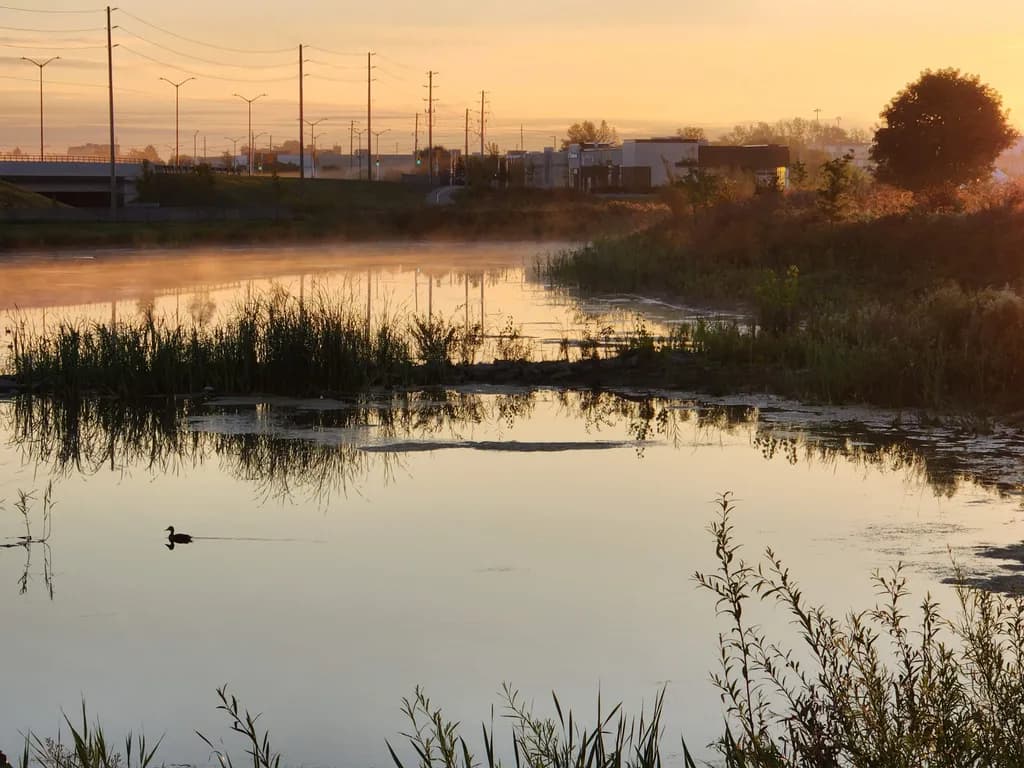 Morning Reflection