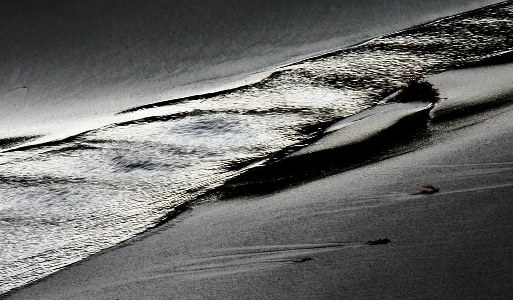 Shifting Tides