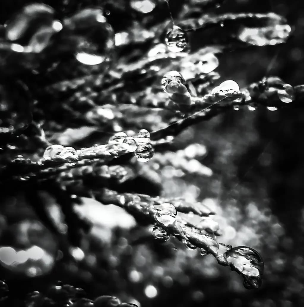 Crystal Veins