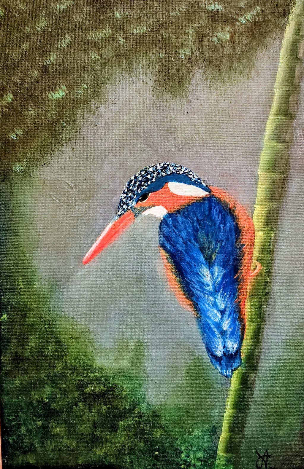 Perched Kingfisher
