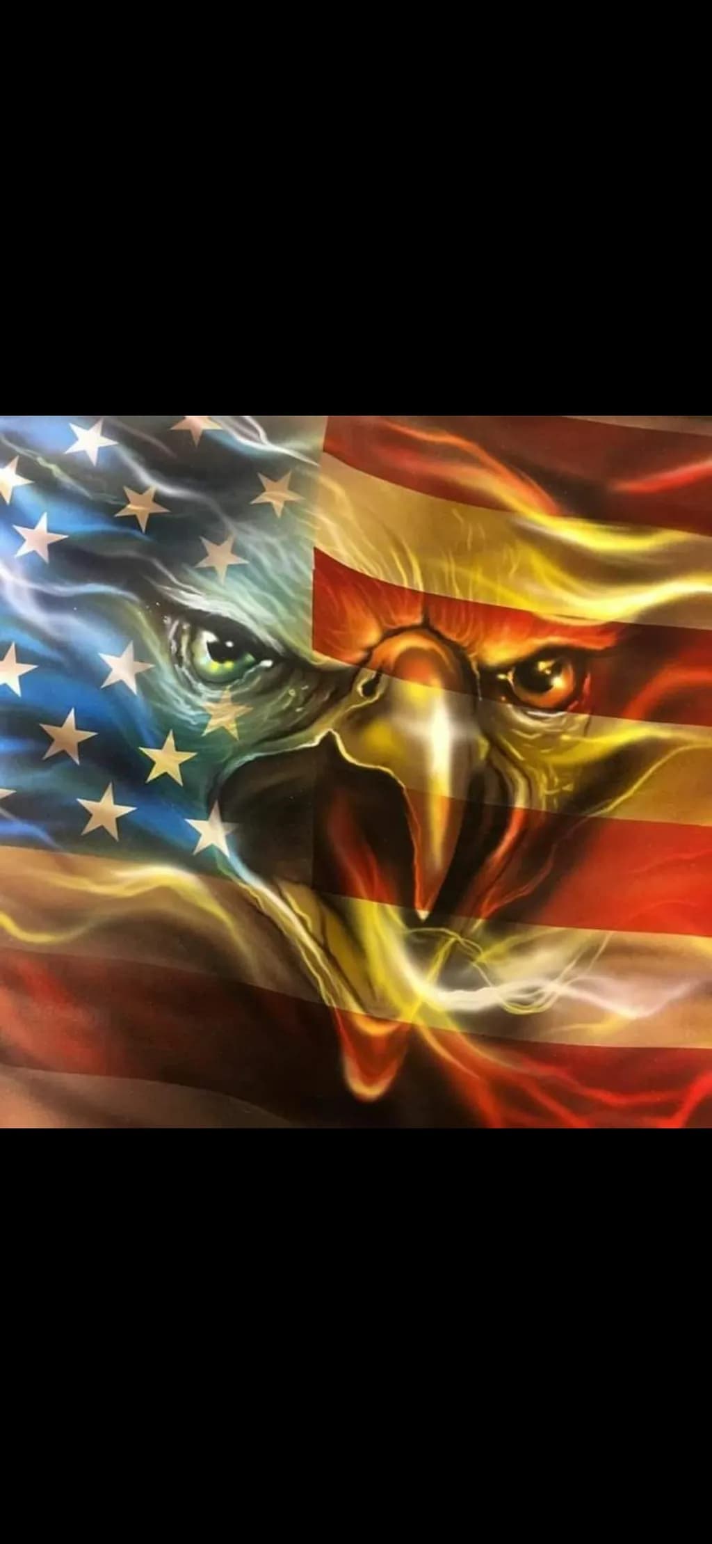 Patriotic Fury