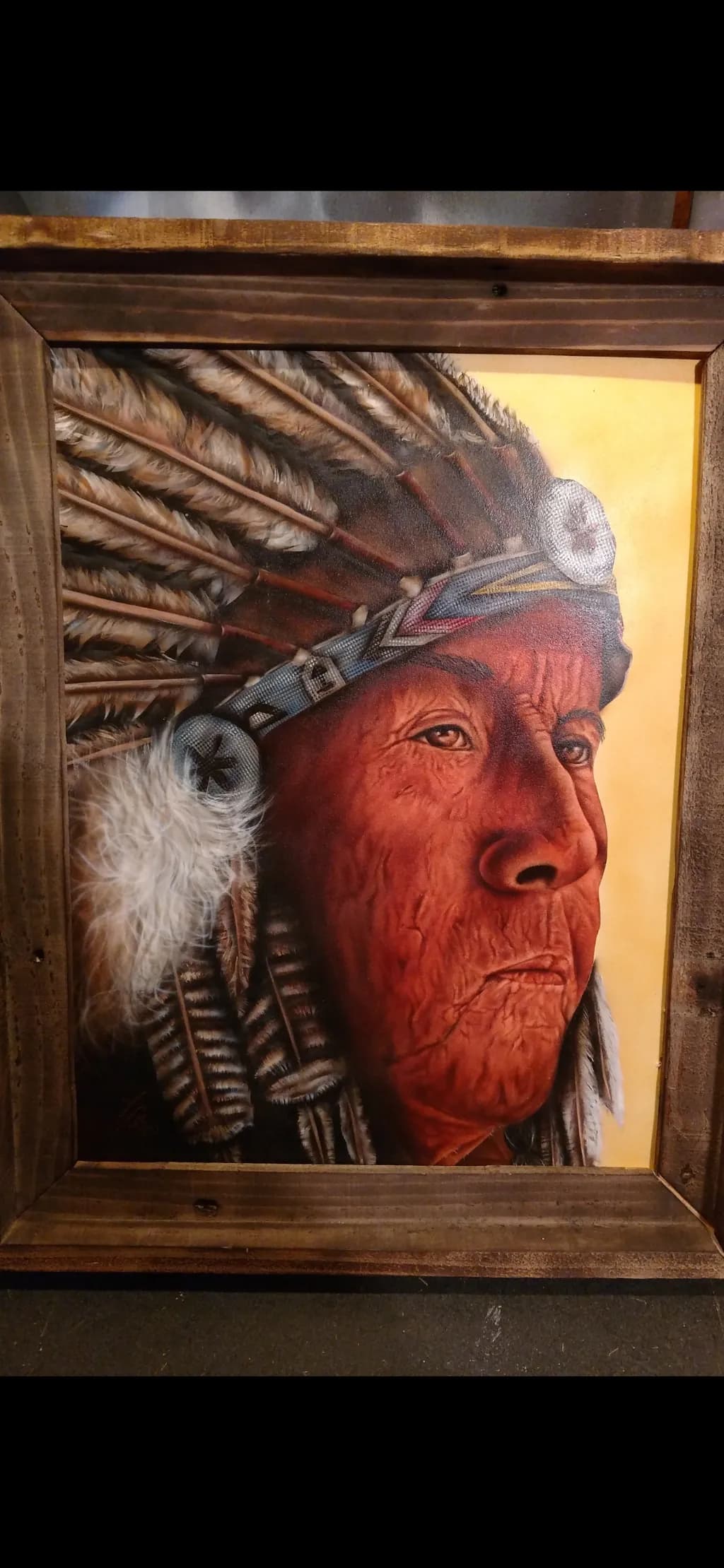 Wisdom in Feathers