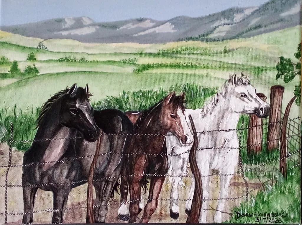 Countryside Watchers