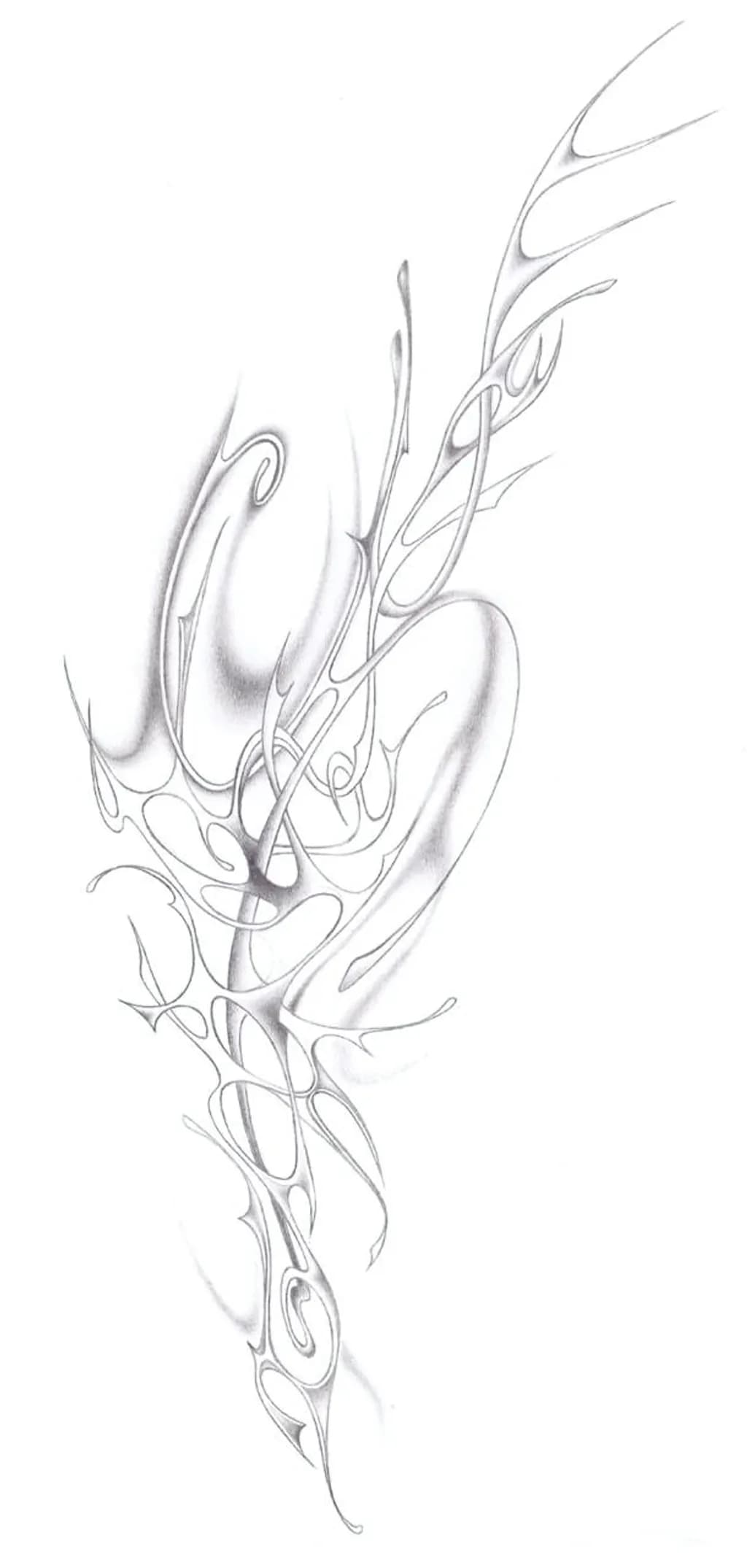 Fluid Tangles