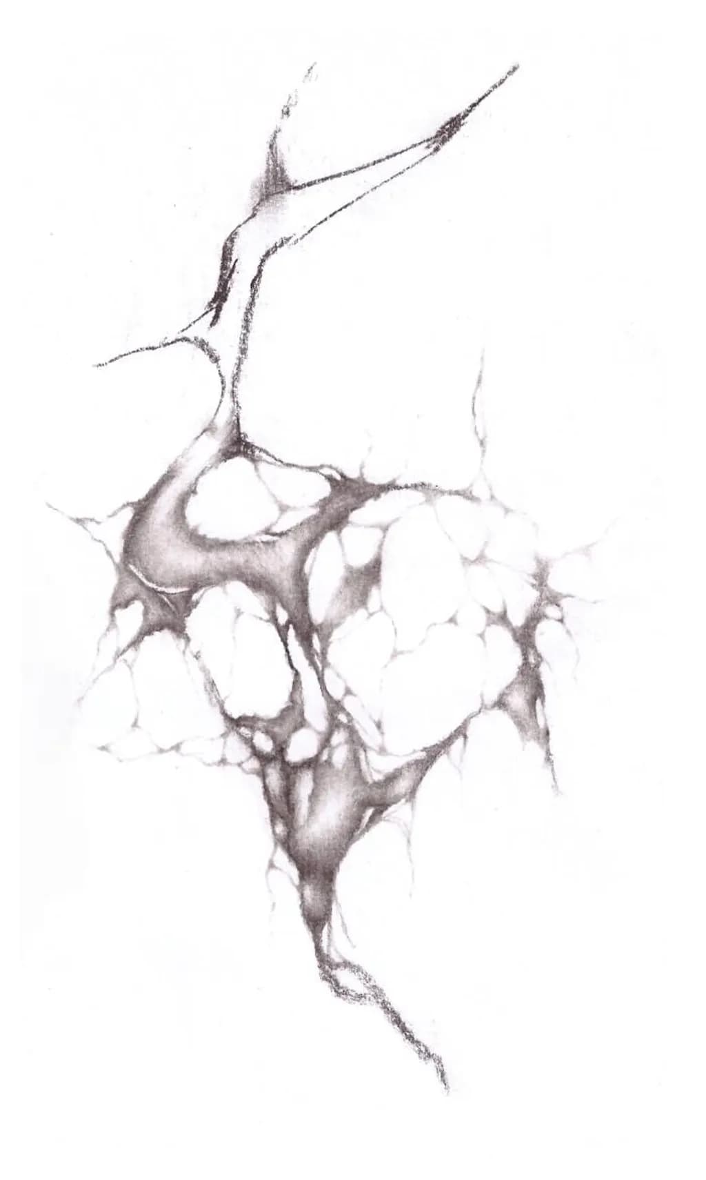 Fractured Veins