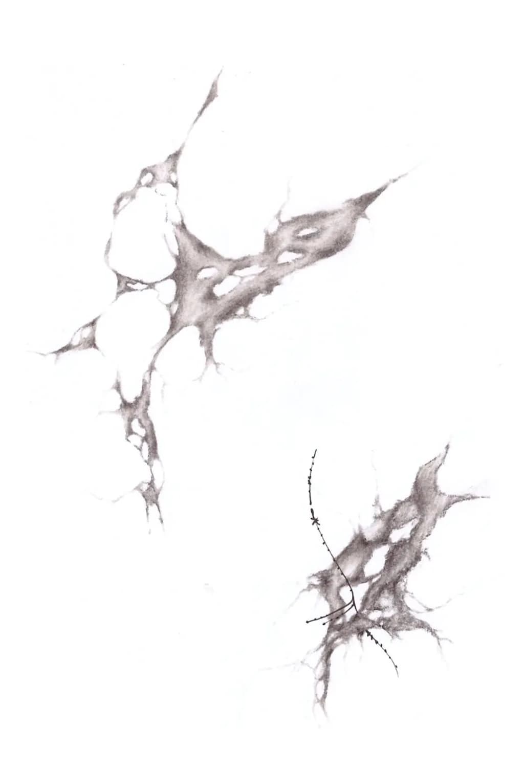 Veins of Time