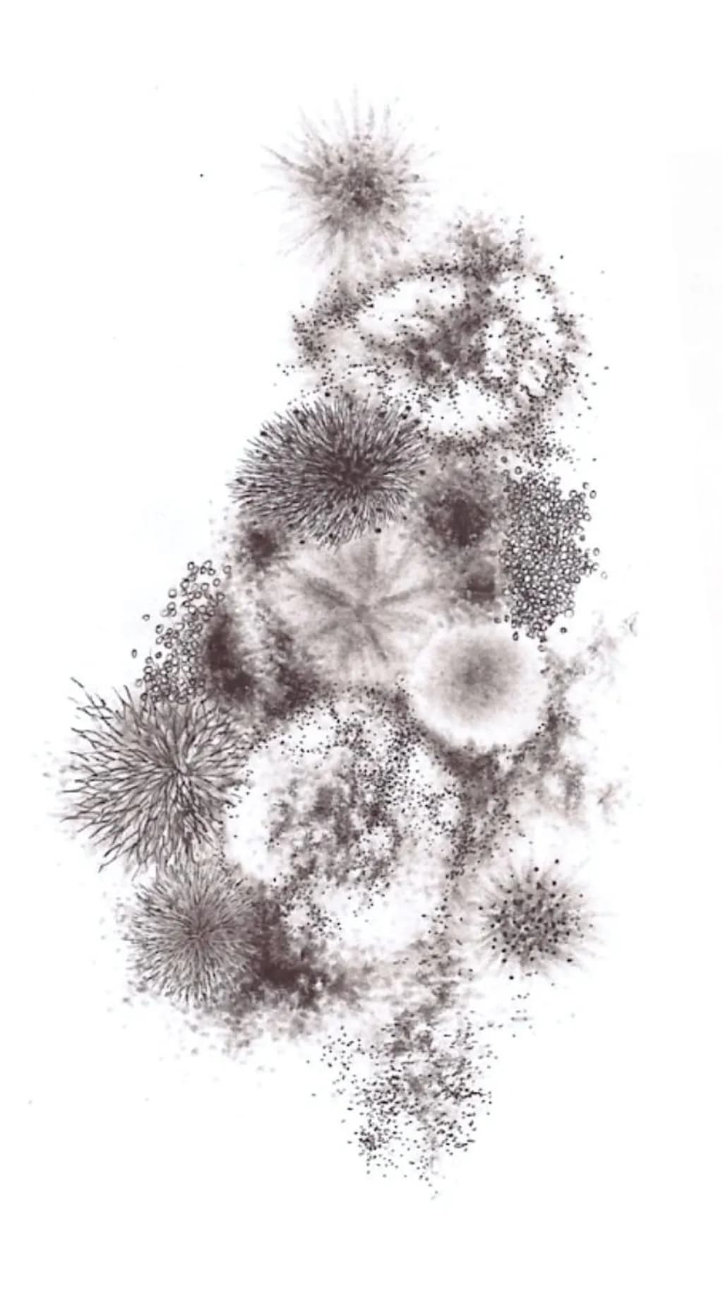 Microcosm Array