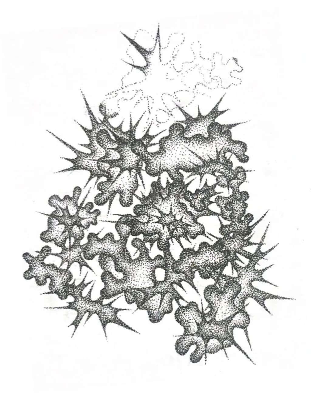 Spiked Clusters