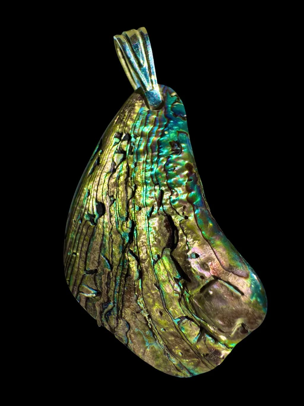Abalone Glow