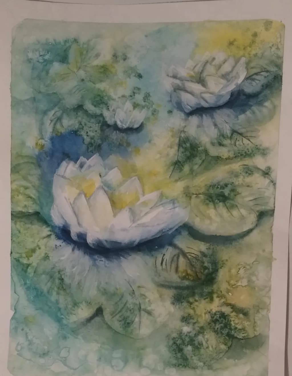 Waterlily Calm