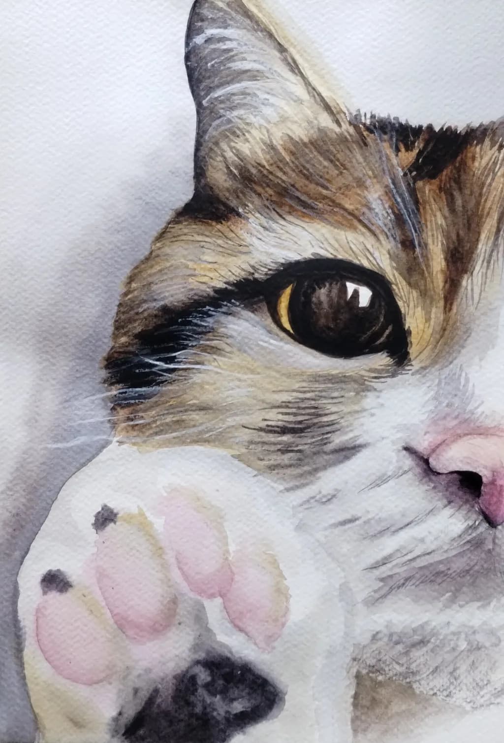 Little taby cat
