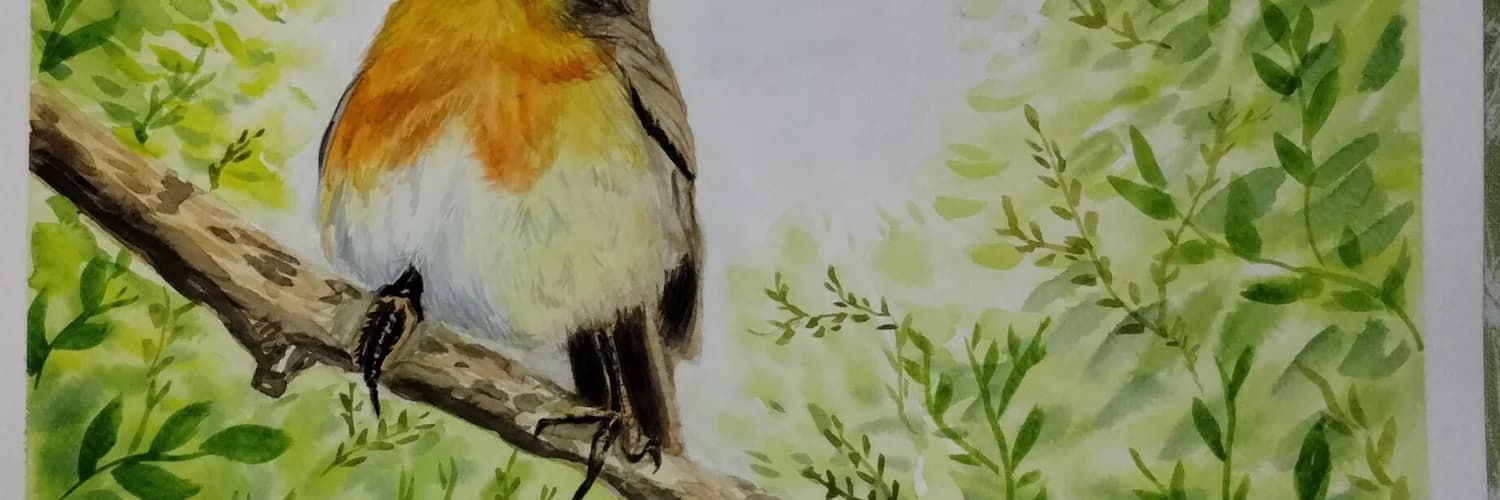 Banner del perfil