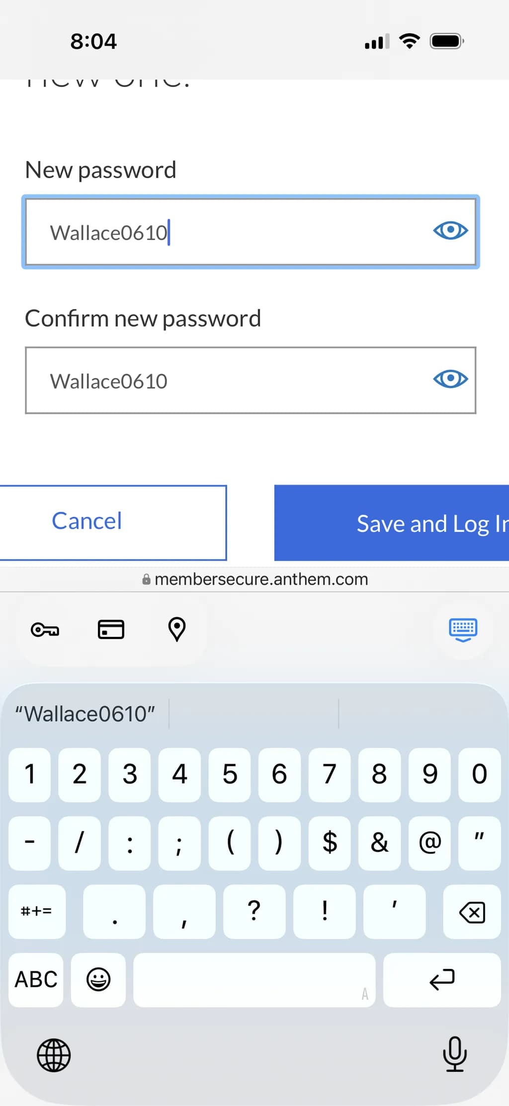 Password Reset Interface