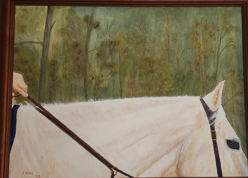 White Stallion Portrait