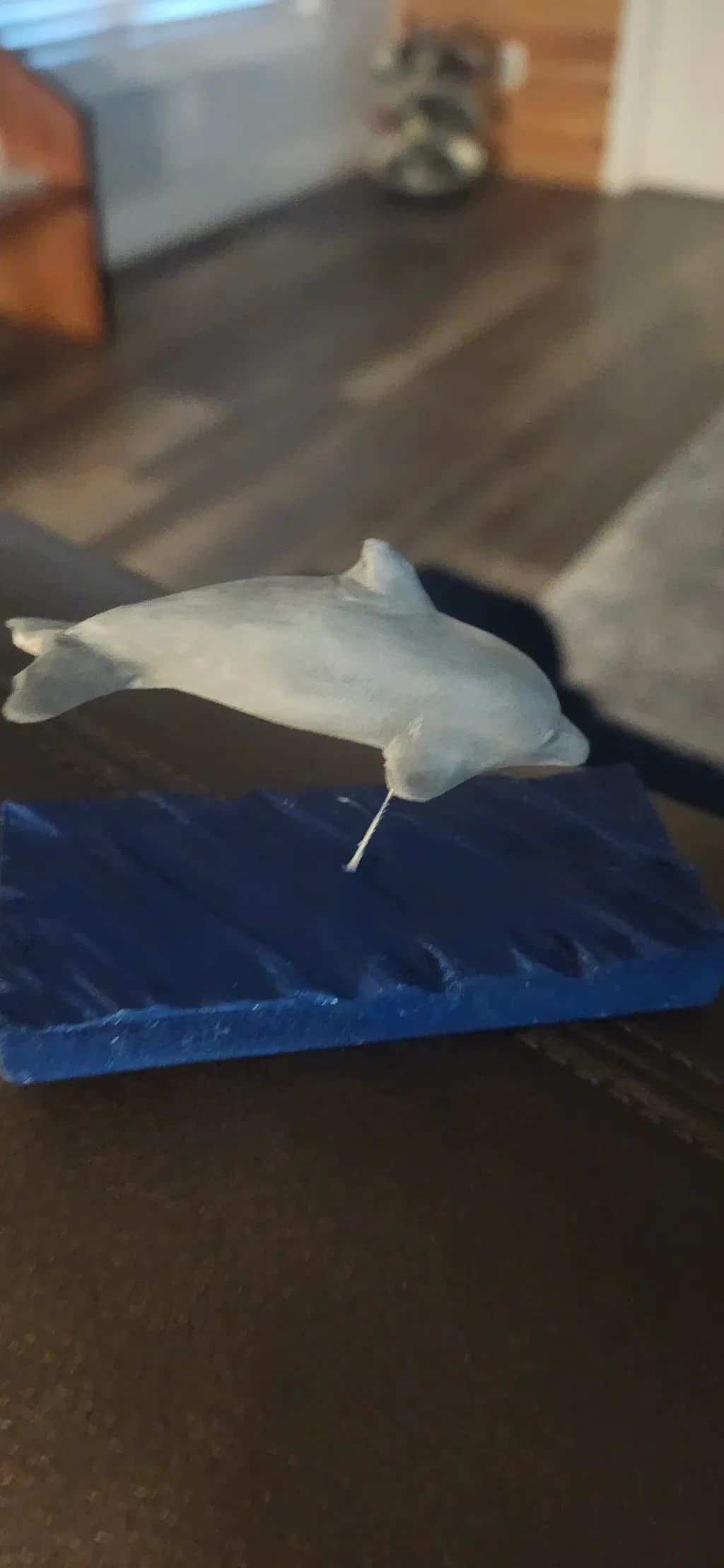 Jumping Dolphin