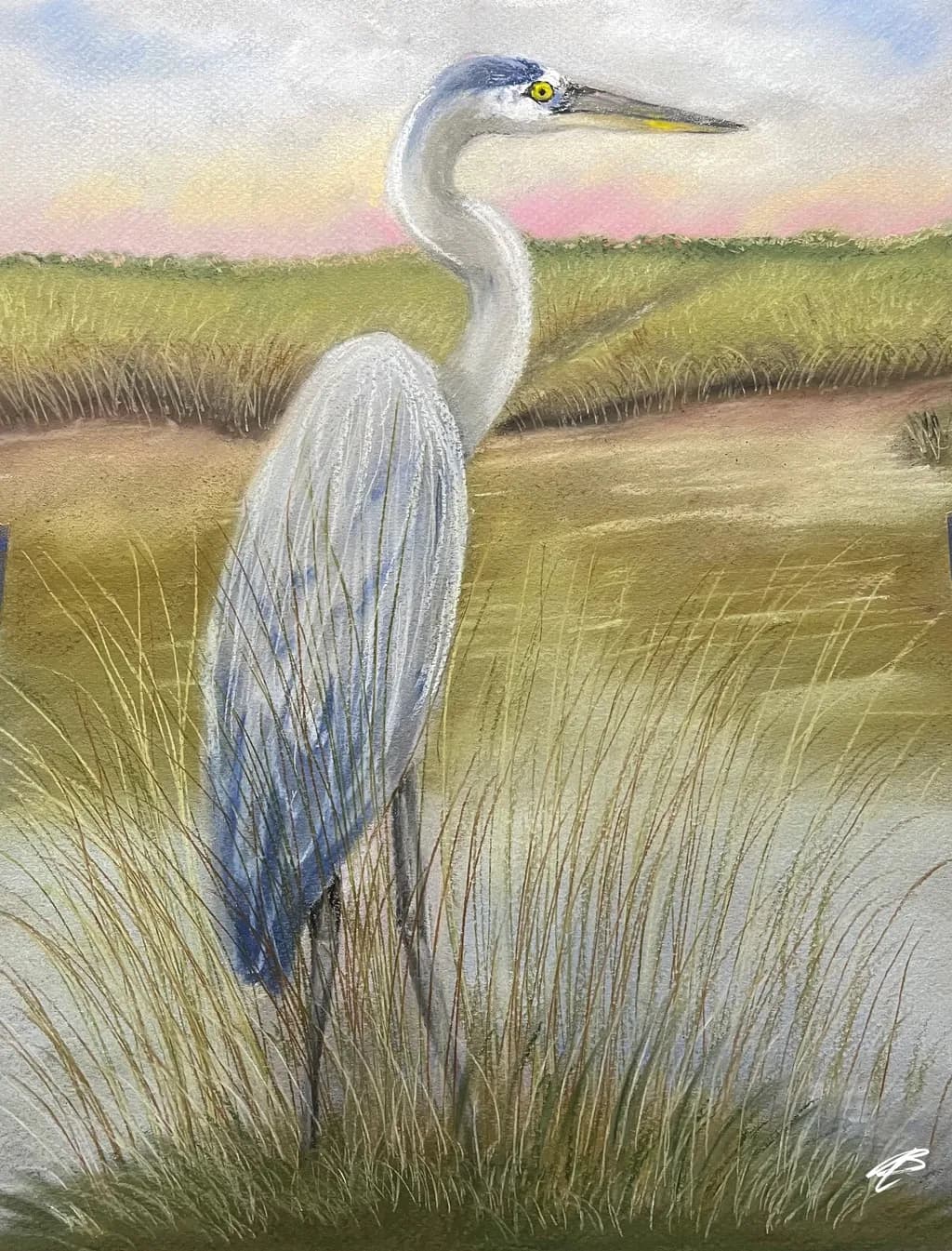 Eddy the Egret
