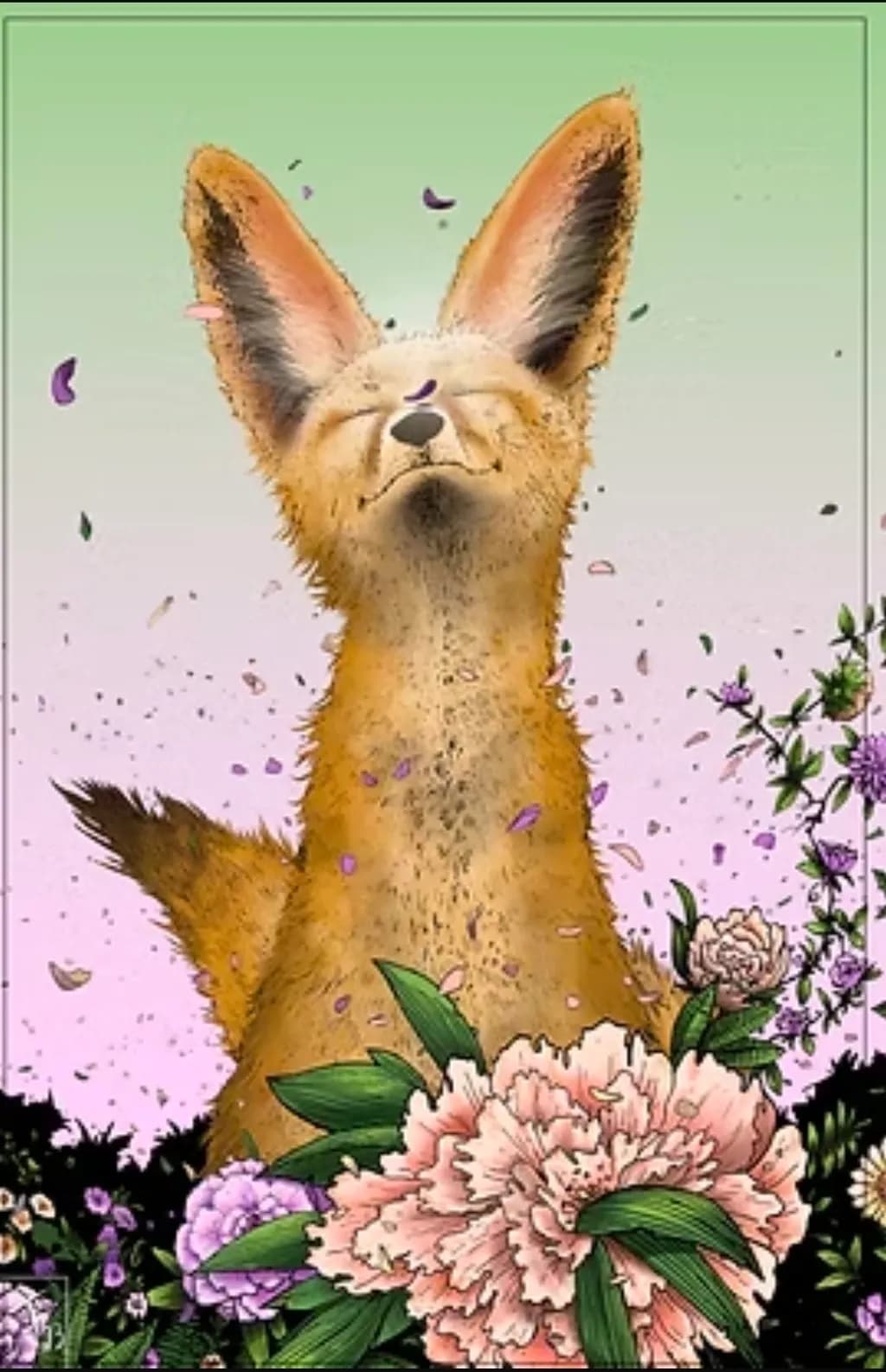Blissful Fox