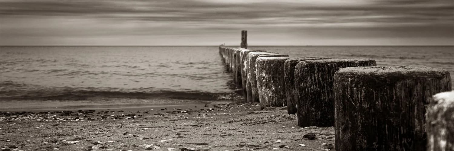 Profile banner