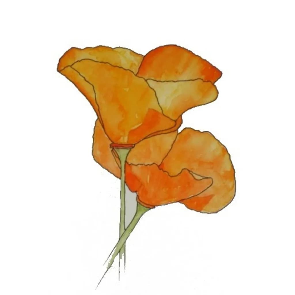 Orange Pop Trio
