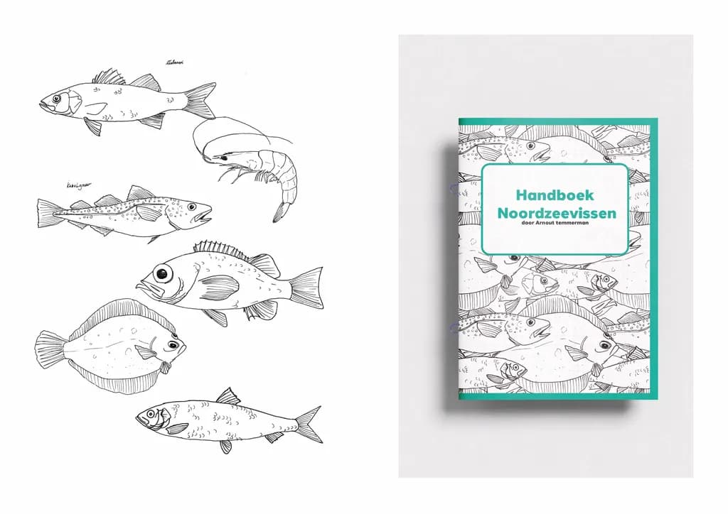 North Sea Species Guide