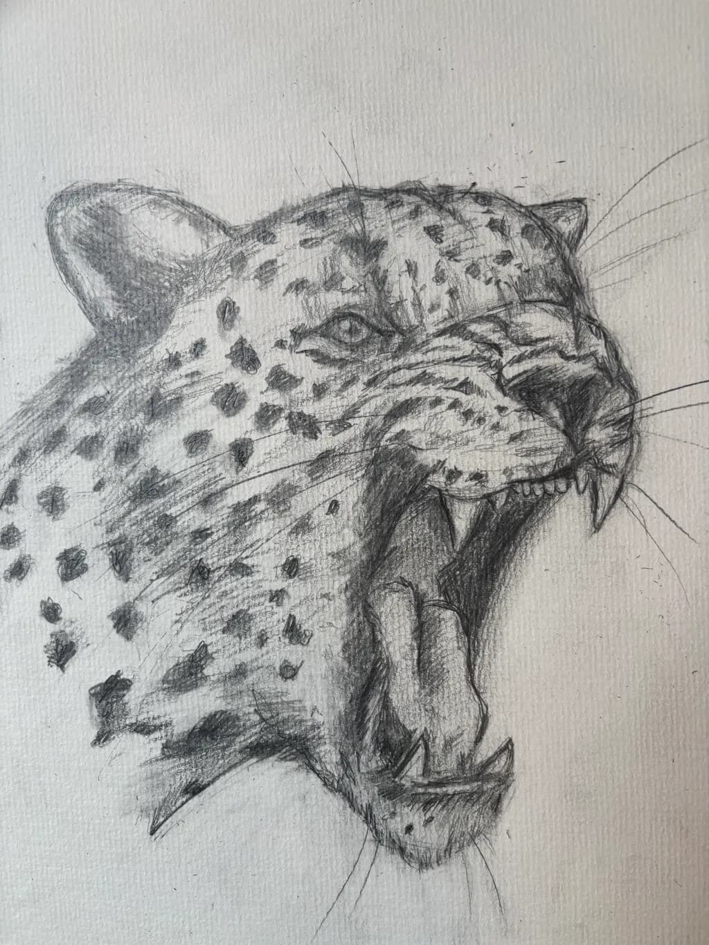 Roaring Leopard
