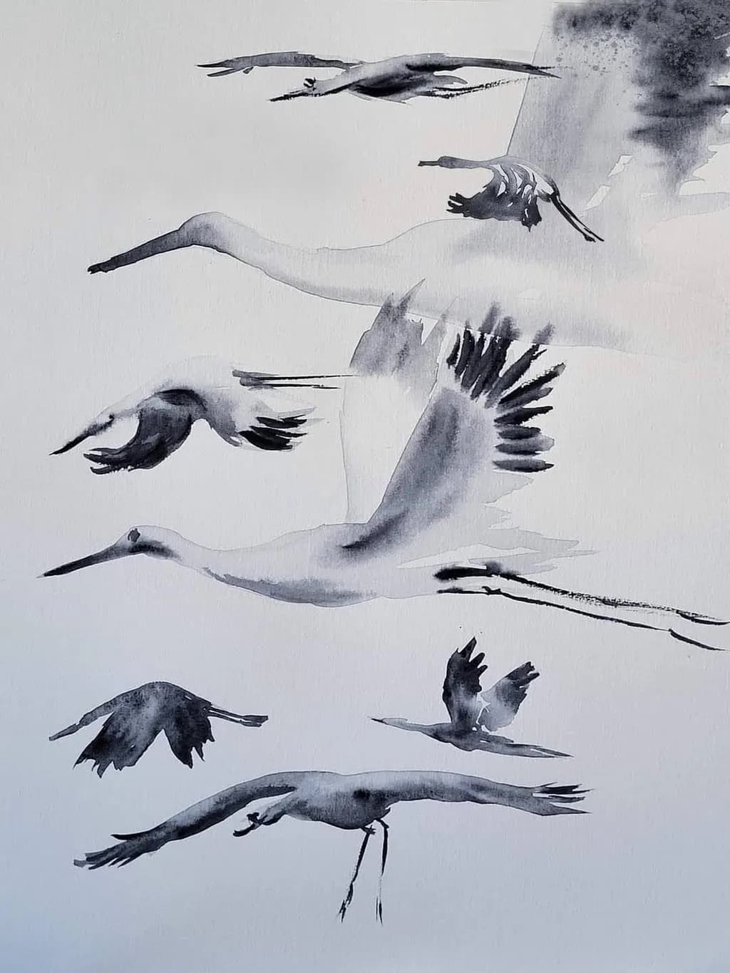 Silent Flight