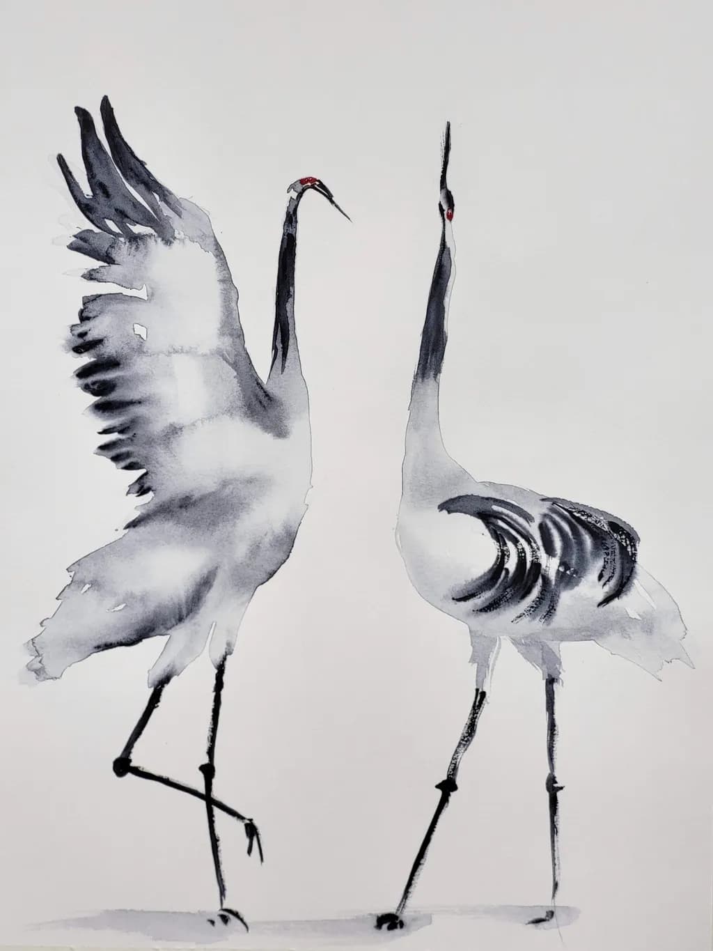 Dancing Cranes