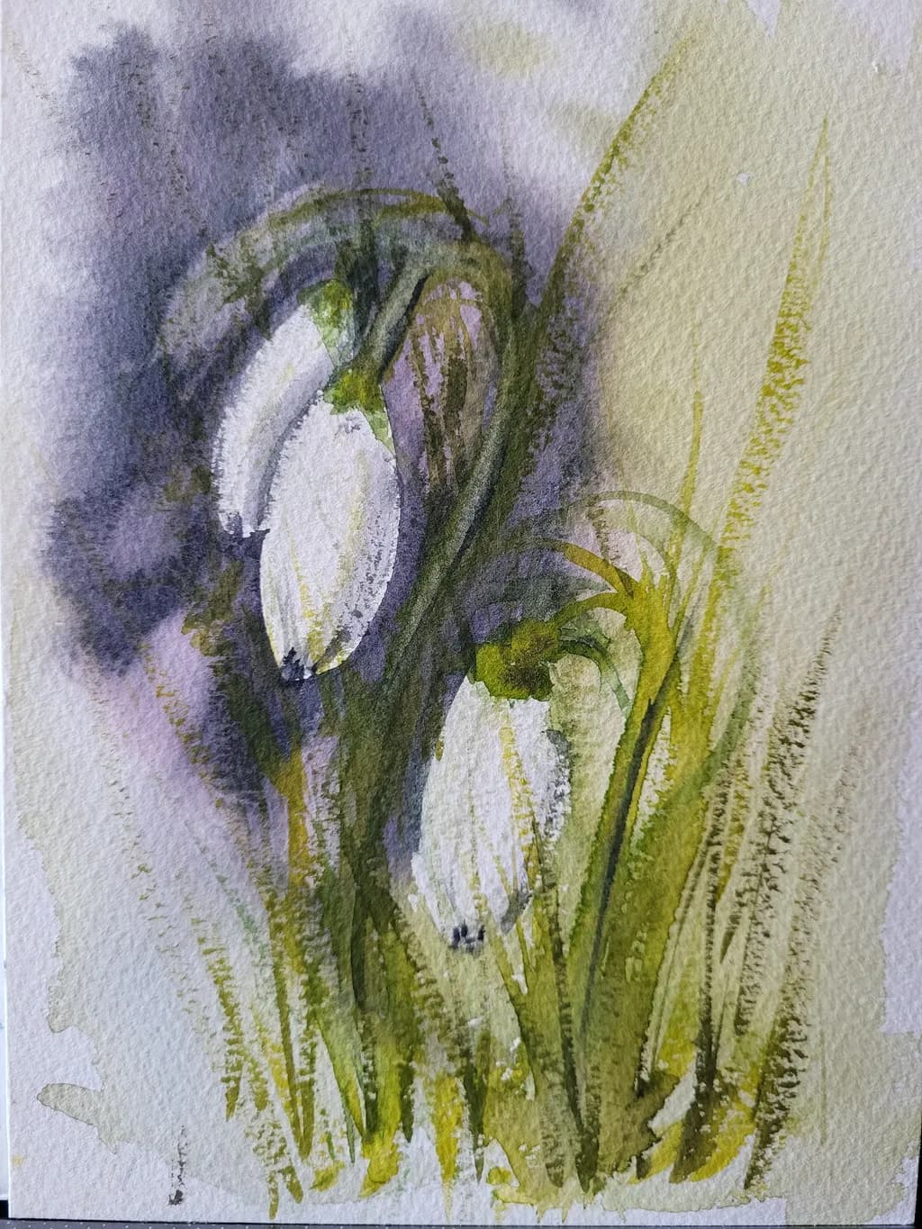 Snowdrop Echoes