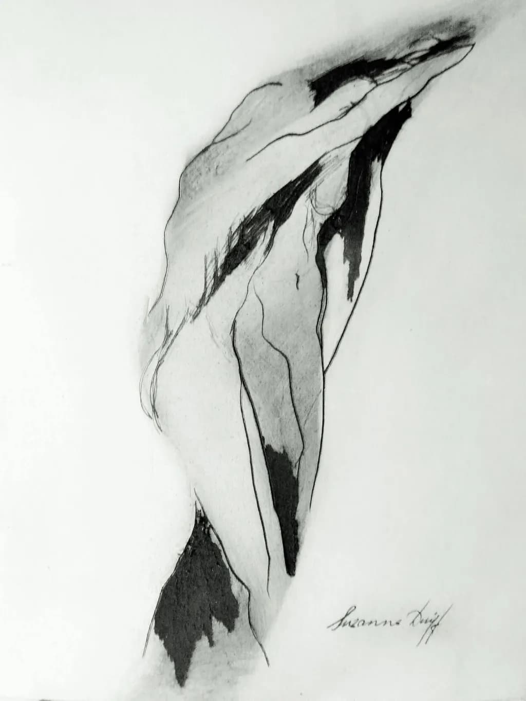 Veiled Silhouette