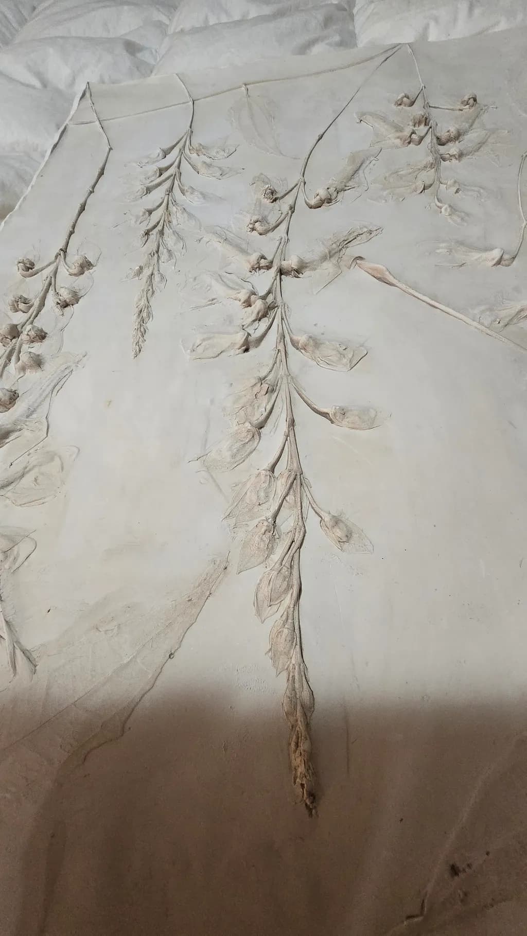 Pressed Relics