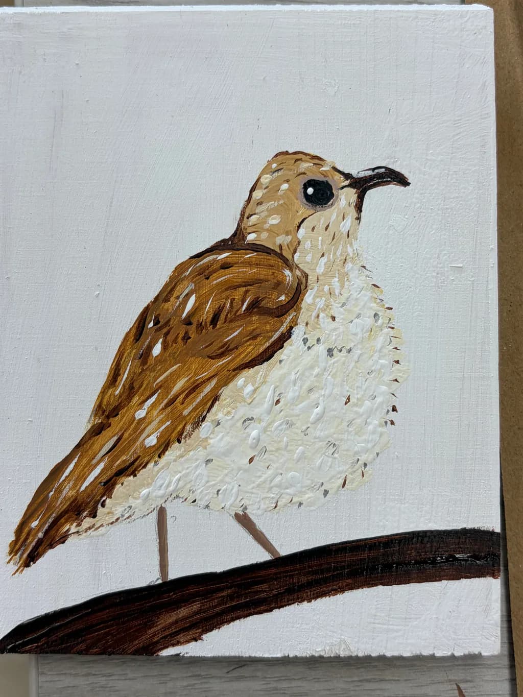 Brown Thrasher Perch