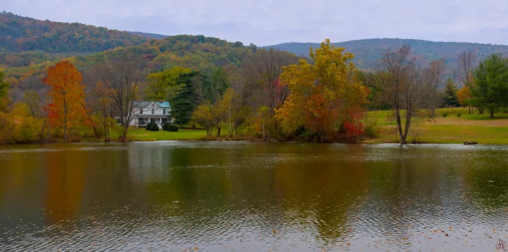 Autumn Reflection