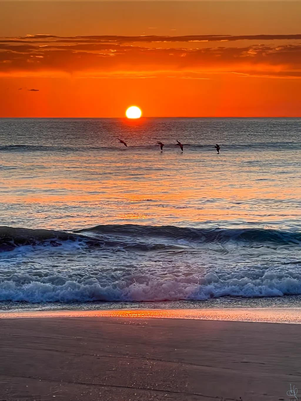 Orange Ocean Flight