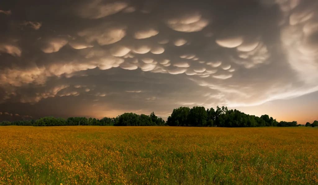 Mammatus Sundown